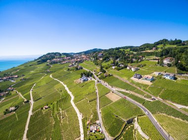 Lavaux bölgesi - Terrasses de Lavaux üzüm bağları, havadan görünümü 
