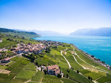 Lavaux bölgesi - Terrasses de Lavaux üzüm bağları, havadan görünümü 