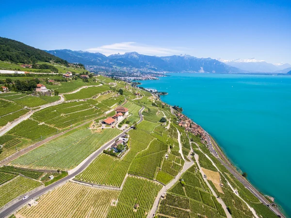 Luchtfoto van wijnbergen in Lavaux-gebied - Terrasses de Lavaux — Stockfoto