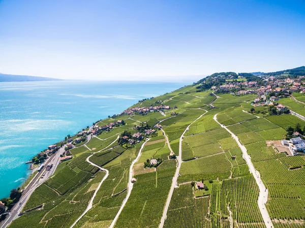 Luchtfoto van wijnbergen in Lavaux-gebied - Terrasses de Lavaux — Stockfoto