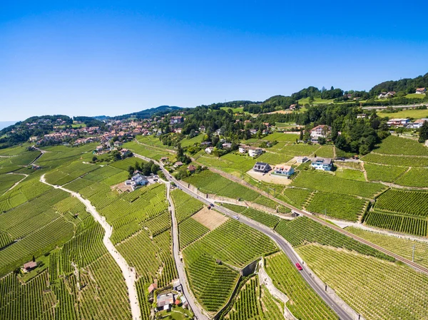 Aerial view of Vineyards in Lavaux region - Terrasses de Lavaux — Stock Photo, Image