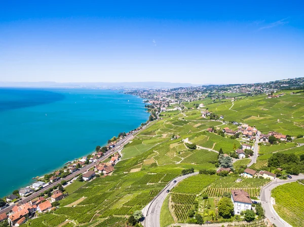 Luchtfoto van wijnbergen in Lavaux-gebied - Terrasses de Lavaux — Stockfoto