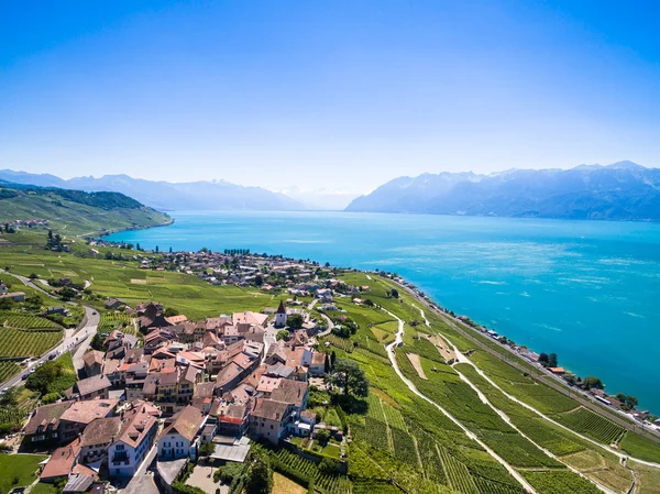 Aerial view of Vineyards in Lavaux region - Terrasses de Lavaux — Stock Photo, Image