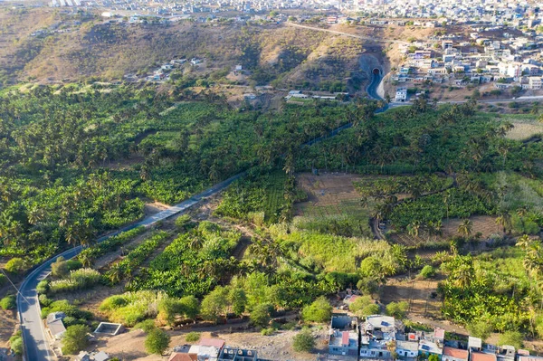 Plantación Coco Caña Azúcar Cerca Calheta Sao Miguel Isla Santiago — Foto de Stock