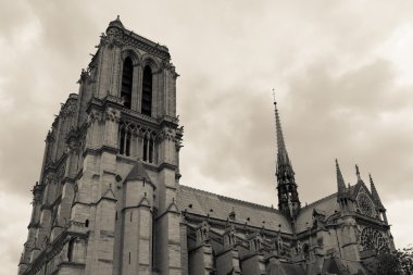 Katedral notre dame de paris Fransa