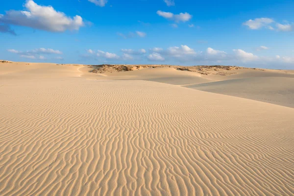 Waves on sand dunes  in Chaves beach Praia de Chaves in Boavist — Stock Photo, Image