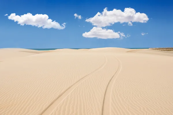 Roda impressa em dunas de areia da praia de santa monica - Praia de Santa — Fotografia de Stock