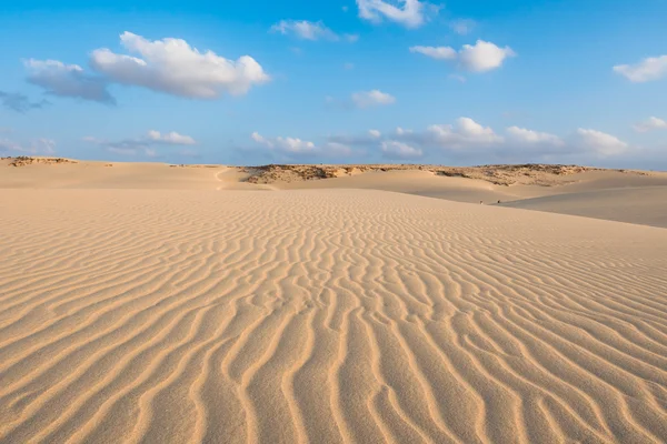 Onde sulle dune di sabbia in spiaggia di Chaves Praia de Chaves in Boavist — Foto Stock