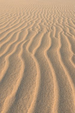Praia de Chaves Boavist içinde dalgalar Chaves kumulları üzerinde plaj