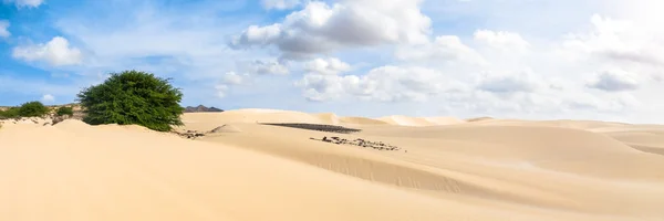 Песчаные дюны в пустыне Виана - Deserto de Viana в Боависте - Мыс — стоковое фото