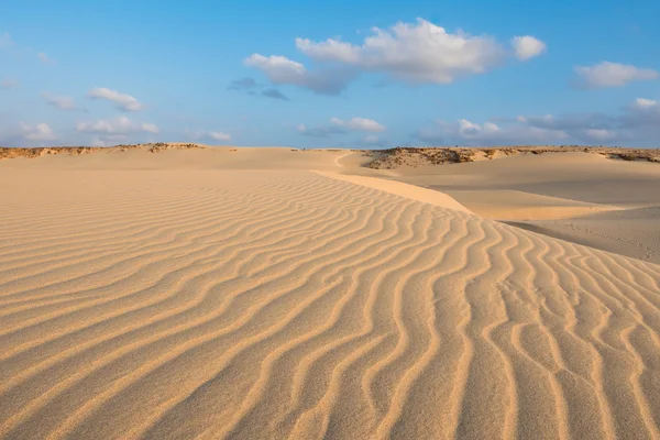 Waves on sand dunes  in Chaves beach Praia de Chaves in Boavist — Stock Photo, Image