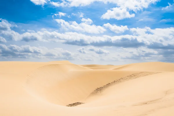 Wydmy w Viana pustynia - Deserto de Viana w Boavista - Cape — Zdjęcie stockowe