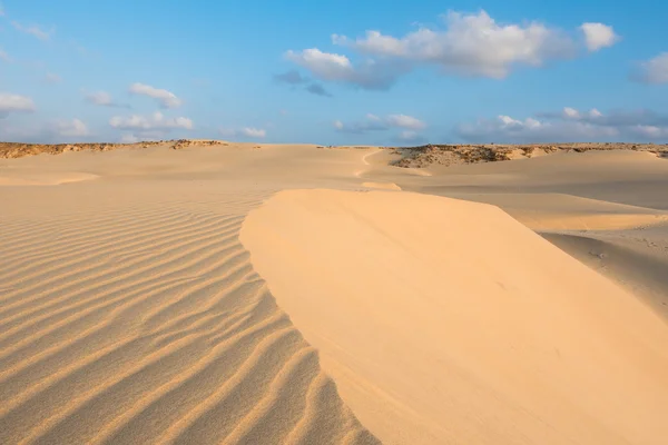 Vagues sur les dunes de sable à Chaves plage Praia de Chaves à Boavist — Photo