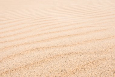  Praia de Chaves Boavist içinde dalgalar Chaves kumulları üzerinde plaj