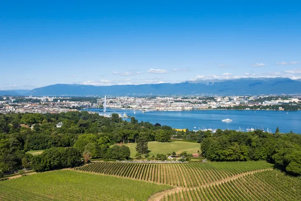 Вид с воздуха на озеро Леман - город Женева в Швейцарии — стоковое фото