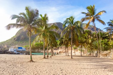 Hindistan cevizi ağaçları Tarrafal Beach Santiago Adası Cape Verde