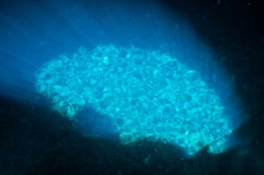 Buracona cave sun reflection on water in sal Island Cape Verde -