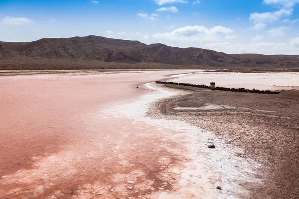 Salt marsh of Salinas  in Sal Cape Verde - Cabo Verde Islands — Stock Photo, Image