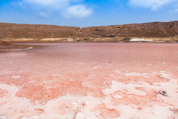 Salt marsh of Salinas  in Sal Cape Verde - Cabo Verde Islands — Stock Photo, Image