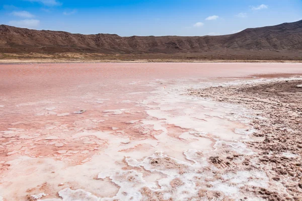 Salt marsh of Salinas  in Sal Cape Verde - Cabo Verde Islands — Stock Photo, Image