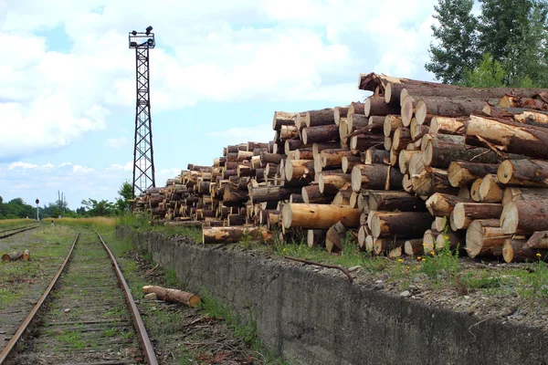 Logboekregistratie Stockfoto