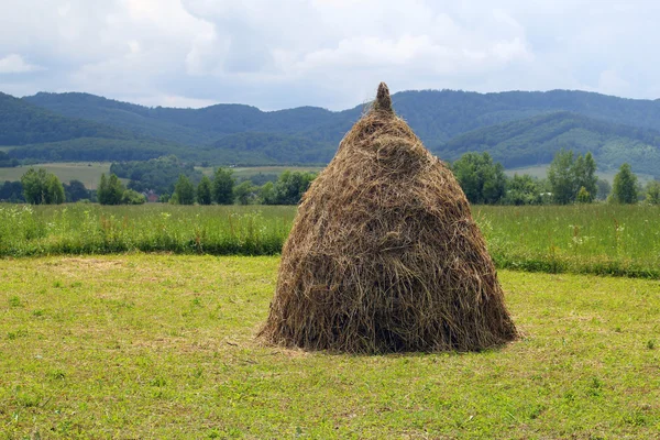 Heuhähne sind auf dem Feld — Stockfoto