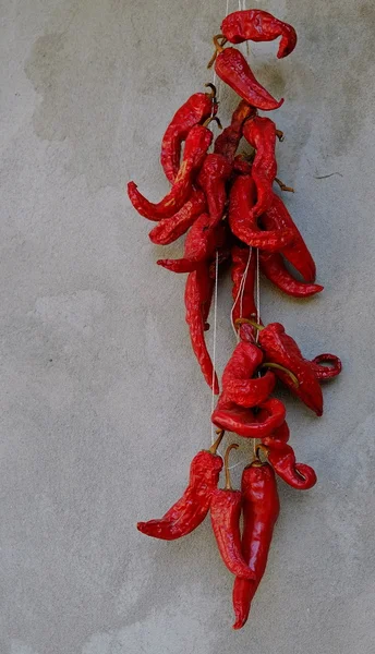 Cayenne — Stok fotoğraf