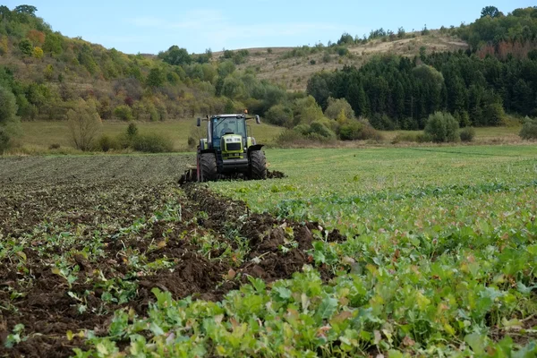 A tractor is in the field — Stock Photo, Image