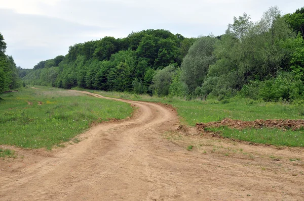 Strada e foresta Foto Stock