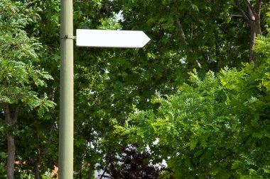 Parlak yeşil güneşli parkta parlak beyaz yol tabelası.