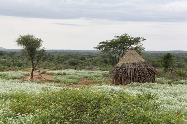 Casas de gente de una tribu Hamer — Foto de Stock