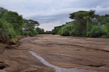 The dried-up African river clipart