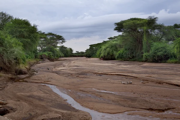 Der ausgetrocknete afrikanische Fluss — Stockfoto