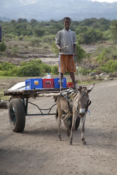 O menino transporta bebidas com um burro — Fotografia de Stock