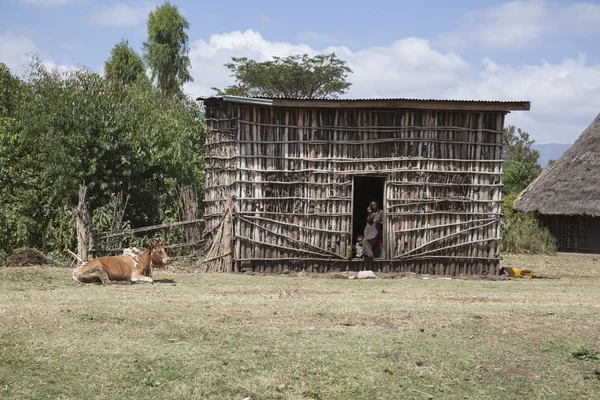 Traditionella etiopiska hus. — Stockfoto