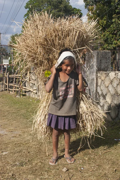 Nepal çocuk — Stok fotoğraf