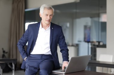 Dizüstü bilgisayarda çalışan kıdemli iş adamı