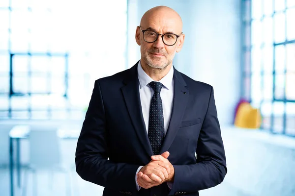 stock image Portrait shot of executive businessman wearing suit while standing in the office.