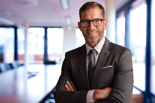 Retrato Empresário Executivo Vestindo Terno Gravata Enquanto Estava Sala Reuniões — Fotografia de Stock