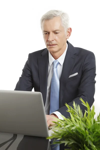 Empresario sentado frente a la computadora portátil — Foto de Stock