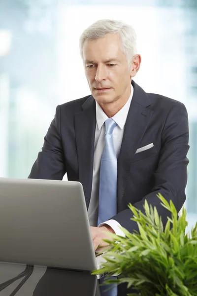 Бизнесмен сидит перед ноутбуком — стоковое фото