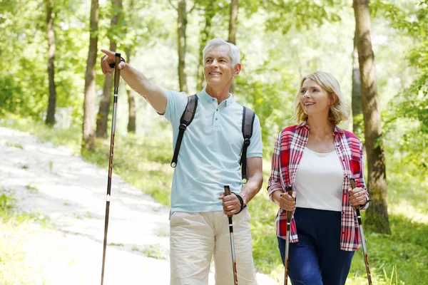 Active senior couple walking  in the forest — 스톡 사진