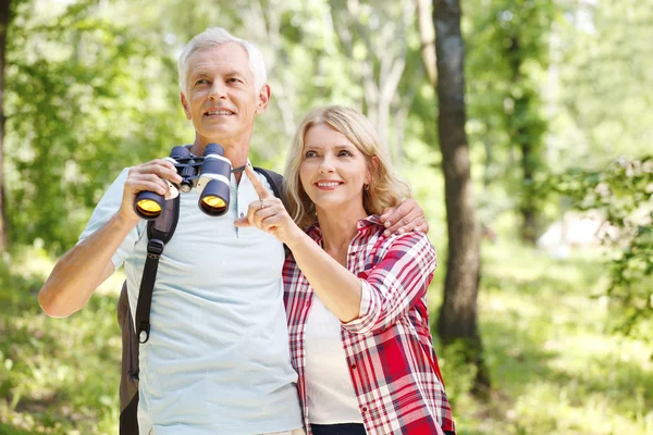 Idosos desfrutando de uma caminhada juntos . — Fotografia de Stock