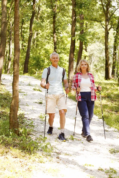Pasangan senior menikmati berjalan-jalan nordik — Stok Foto