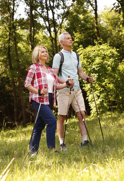 Cuplu în vârstă care se bucură de o plimbare nordică — Fotografie, imagine de stoc