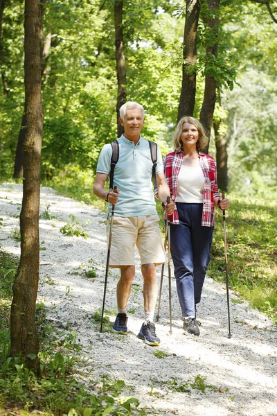 Casal sênior ativo desfrutando de uma caminhada nórdica — Fotografia de Stock