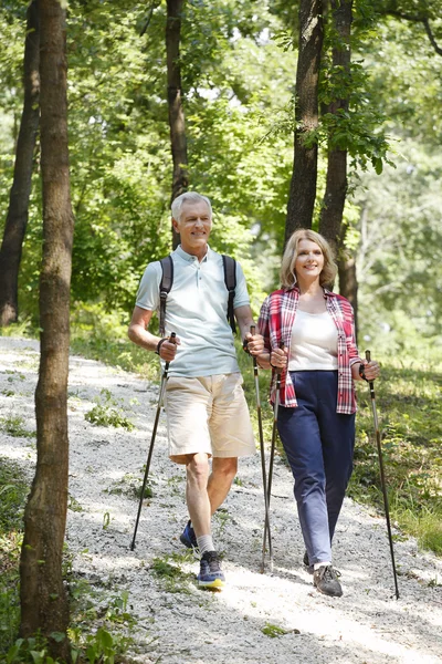 Pareja mayor activa disfrutando de un paseo nórdico — Foto de Stock