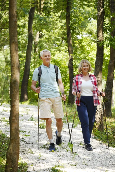 Senior cuplu nordic de mers pe jos pe pădure . — Fotografie, imagine de stoc