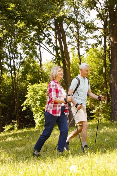 Senior cuplu nordic de mers pe jos pe pădure . — Fotografie, imagine de stoc