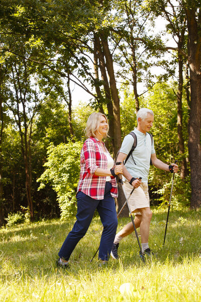 Senior couple nordic walking on the forest.